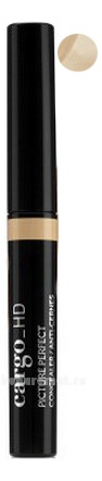 HD Picture Perfect Concealer 2,5