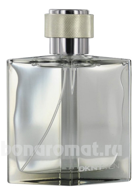 DKNY Men 2009 (Silver)