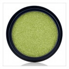    Wild Shadow Pots Eye Shadow