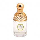 Aqua Allegoria Laurier-Reglisse