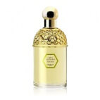 Aqua Allegoria Tutti Kiwi