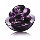 Insolence Eau de Parfum