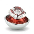 Insolence Shimmering Limited Edition