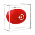 Flower by Kenzo Ryoko 