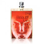 The Beautiful Mind Series Intelligence and Fantasy