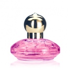 Casmir Festival Pink