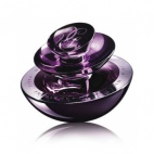 Insolence Florale Fruitee