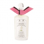 Anthology Night Scented