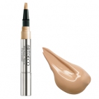  Perfect Teint Concealer |       